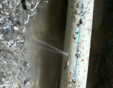 南海测漏水哪家好