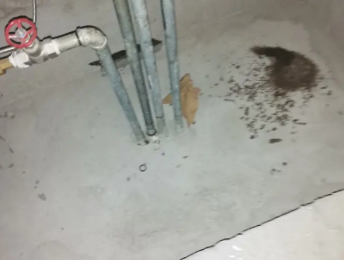 南海卫生间测漏水价格明细