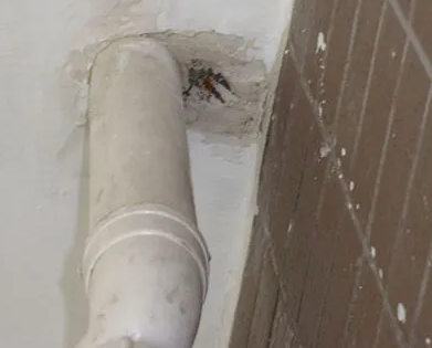 南海漏水检测哪家好